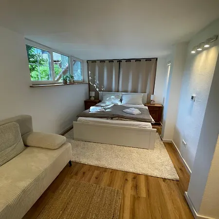 Apartment Geräumige In Toller Lage In Mit Terrasse Freiburg im Breisgau