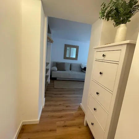 Apartment Geräumige In Toller Lage In Mit Terrasse Freiburg im Breisgau